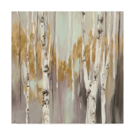 Julia Purinton 'Silver Birch Ii' Canvas Art,18x18